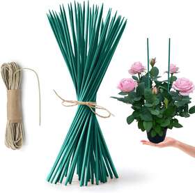 Hopelf 779172257689 50 Pack 12 Inch Bamboo Plant Stakes For Wood Garden Green Hopelf 779172257689 50 Pack 12 Inch Bamboo Plant Stakes For Wood Garden Green