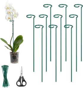 Ky16cakygs221cp10s01sa01 Kingsyard 16 Inch Plant Support Stakes - 10 Pack 4.5mm Thick Green Ky16cakygs221cp10s01sa01 Kingsyard 16 Inch Plant Support Stakes - 10 Pack 4.5mm Thick Green
