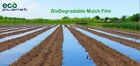 Lysb00u1ys0no-electrncs Ecoplanet Biodegradable Agricultural Plasticulture