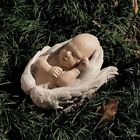 N-a Design Toscano In Natures Hands Baby Cherub Angel 0846092007387