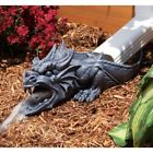 N-a Design Toscano Rainer The Sculptural Dragon Free Shipping 0846092001781