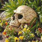 N-a Design Toscano Sinister Simon Giant Skull Delivery Is 0846092006151