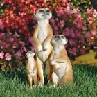 N-a Design Toscano The Meerkat Menagerie Welcome Free Shipping 0846092017171