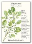 N-a Herb Watercress Seeds Mg Perennial Hirts Seed Huge 0736210506130 N-a Herb Watercress Seeds Mg Perennial Hirts Seed Huge 0736210506130