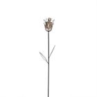 N-a Northlight Seasonal Flower Garden 0191296067065
