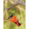 Sebco212 N-a Songbird Essentials Jelly Jam Bird Free Shipping 0787839212001