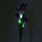 N-a Unbranded Flower Shaped Solar Power Lily Garden Stake 0660198330558