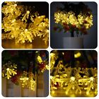 N-a Unbranded Image Solar String Lights Christmas Fairy Waterproof 0766008359891 N-a Unbranded Image Solar String Lights Christmas Fairy Waterproof 0766008359891