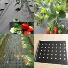 Na Origina Origi Mil Plastic Mulch Garden Microporous 651074085877