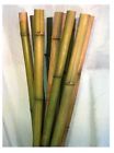 Poles-2 Natural Organic Stalks 6 Bamboo Green Foot Poles-2 Natural Organic Stalks 6 Bamboo Green Foot