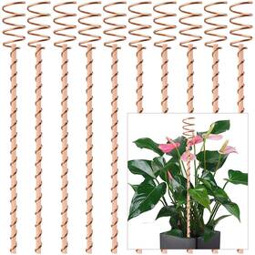 B0czjs3jqy Nizhome 10-pack 12 Inch Electroculture Copper Plant Stakes Gardening Antenna Growth System B0czjs3jqy Nizhome 10-pack 12 Inch Electroculture Copper Plant Stakes Gardening Antenna Growth System