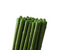 Pack 4 Plant Bamboo Ends Pointed Coated 48-piece Stakes Pvc Poles Pack 4 Plant Bamboo Ends Pointed Coated 48-piece Stakes Pvc Poles