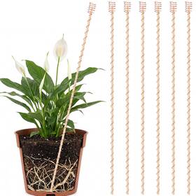B0g4bh8dhd Pelopy 6 Pcs 24 Inch Large Electroculture Copper Plant Stakes For Garden