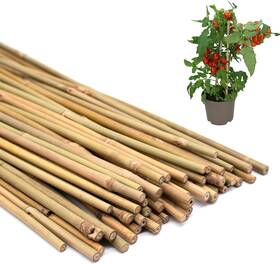 50bamboo-44-xr Poliumb 50pcs Plant Stakes Natural Bamboo Garden For 18inches Brown 50bamboo-44-xr Poliumb 50pcs Plant Stakes Natural Bamboo Garden For 18inches Brown