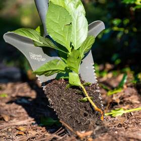 Radius Garden 711181110654 Root Slayer Perennial Shovel Red - N/a