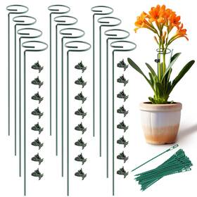 20231022-2 Seelubalar Plant Stake Support - 12 Pack Garden Single Stem Pcs