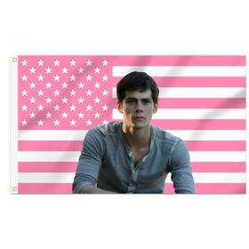B0dsff9l8t Shmbada Dylan Oftbrien 3x5ft Decorative Flag With Brass Grommets For Outdoor B0dsff9l8t Shmbada Dylan Oftbrien 3x5ft Decorative Flag With Brass Grommets For Outdoor