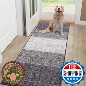 B0dwwxrj5f Smiry Dog Door Mat For Muddy Paws Absorbs Moisture And Dirt Low-profile Entryway