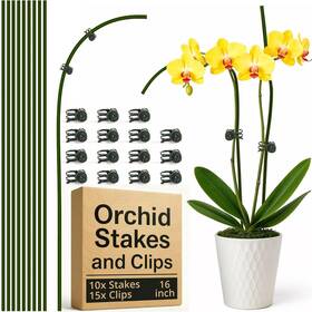 Stake16in Sproot 10pcs Plant Support Stakes For Indoor Plants 16 Inches With 15 Clips Green