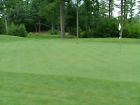 Srpbgs-2 Penncross Bentgrass Putting Green Seed No Tax Srpbgs-2 Penncross Bentgrass Putting Green Seed No Tax