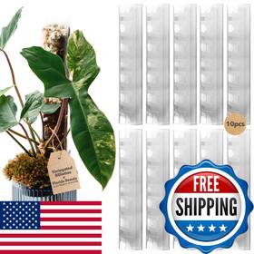 B0fv2nxrdy Thiccly V3 Growpole Medium 10 Pcs - Front Opening Plastic Moss Poles For Climbin
