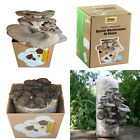 Sea-oy-11100 Trtd2342 Oyster Growing Kit Multiple Flushes Free Shipping 701304089707