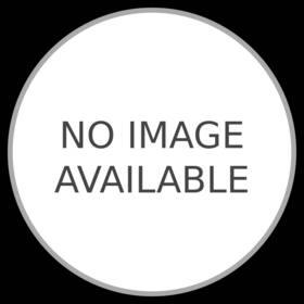 X106430 Vickerman C9 Shape Extra Large Lighted Led Christmas Pathway Markers Lawn Stakes