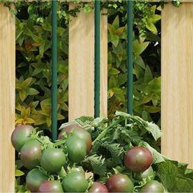 319368 Vidaxl Garden Plant Stakes Climbing Frame Bamboo Stick 30 Pcs Green Steel