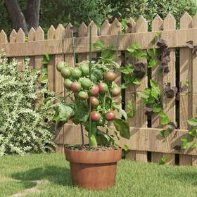 319372 Vidaxl Garden Plant Supports With 3 Rings Tomato Growing Cage 5 Pcs Green Steel