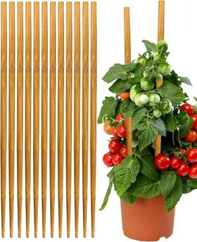 Vipmore 757611382062 Strong Bamboo Sticks For Plants 18 Inch Tall Poles 12pack17.5inch Vipmore 757611382062 Strong Bamboo Sticks For Plants 18 Inch Tall Poles 12pack17.5inch