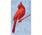 Well3287 Wellspring Screen Cleaner Cardinal 784229032874 Well3287 Wellspring Screen Cleaner Cardinal 784229032874