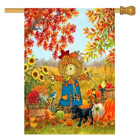 B0d72wtkkv Wizfuyq Happy Fall Autumn Pumpkin Garden Flag 28x40 Inch Outdoor Yard Decor Scarecrow Wa
