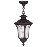 Livex Lighting Oxford Outdoor Chain Hang Bronze. Fixed Price $148.99.