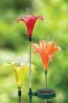 Solar Lily Flower Stake, Led Light. Fixed Price $39.46.