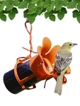 Songbird Essentials Feeder, Oriole Easy To Fill With Jelly.... Fixed Price $21.40.