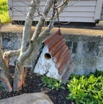 Vintage Rustic Reclaimed Barn Wood Wren Birdhouse With Metal Roof For Outdoor. Fixed Price $41.00.