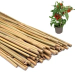 50PCS Plant Stakes,natural Bamboo Stakes,garden For Indoor And Outdoor.... Fixed Price $13.28.