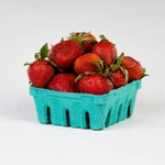 Pactiv Garden Party Berigard Berry Basket Molded Fiber Green, 1/2 Pt. 600/CASE. Fixed Price $83.60.