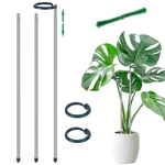 Extendable Monstera Plant Support Stakes, Made Of Aluminum Alloy, Tomato Stak.... Fixed Price $13.23.