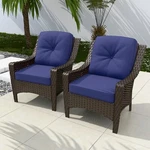Eagle Peak Azure Bay Set Of 2 Outdoor Wicker Patio Chairs. Fixed Price $249.99.