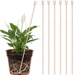 Pelopy 6 Pcs 24" Large Electroculture Copper Plant Stakes For Garden. Fixed Price $53.57.
