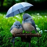 Outdoor Blue Bird On Umbrella Garden Stake - Colorful Flower Bed Accent. Fixed Price $20.66.