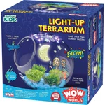 Glowing Terrarium Stem Kit With Seeds Led Lights And Educational Guide. Fixed Price $27.20.