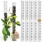 Thiccly V3 Growpole Small 10PCS Front Opening Clear D-shaped Moss Monster. Fixed Price $46.36.