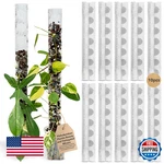Thiccly V3 Growpole Small 10PCS Front Opening Clear D-shaped Moss Monstera. Fixed Price $44.78.