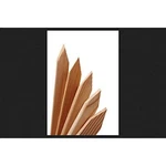 Universal Forest Grade Stake 1 " X 2 36 Pack. Fixed Price $43.43.