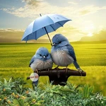 Blue Bird Umbrella Acrylic Garden Stake Foroutdoor Decors Flower Bed Accent. Fixed Price $18.50.