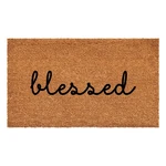 Calloway Mills Blessed Doormat 24X48 Indoor Outdoor Coir Vinyl Backed Welcome Ru. Fixed Price $73.74.