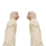 Zenport AG4020 Nylon Fruit Picking Sleeves, 1-PAIR White,. Fixed Price $18.95.