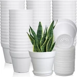 54 Pack Inch Pots Bulk Small Planter With Drainage Hole And Saucer Sm.... Fixed Price $62.12.